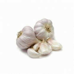 1638004573-h-250-Garlic-Local-600x600.gif